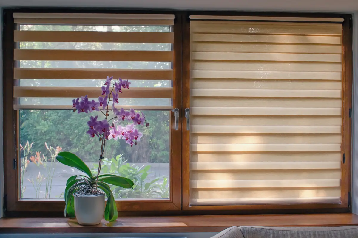 Two inside mount window blinds covering windows in a home.